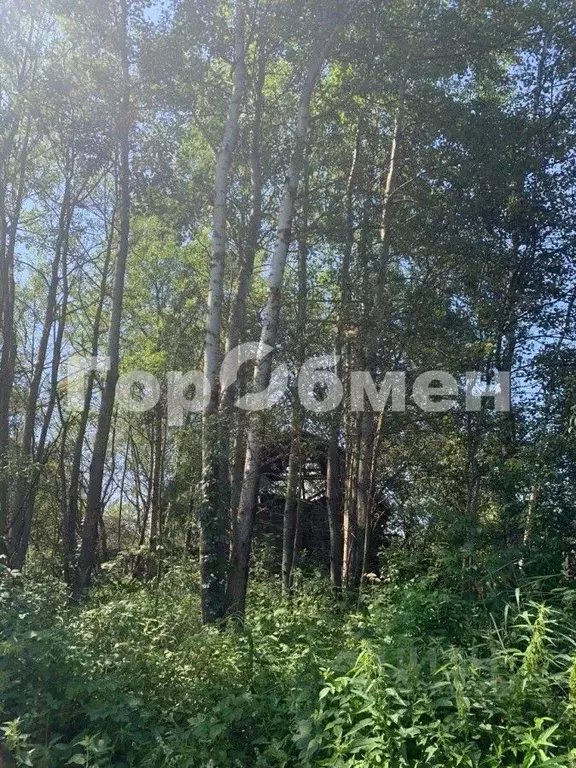 Участок в Московская область, Богородский городской округ, Нерудник ... - Фото 2