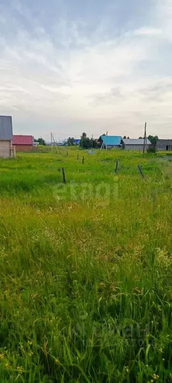 Участок в Алтайский край, Советский район, с. Платово Молодежная ул. ... - Фото 1