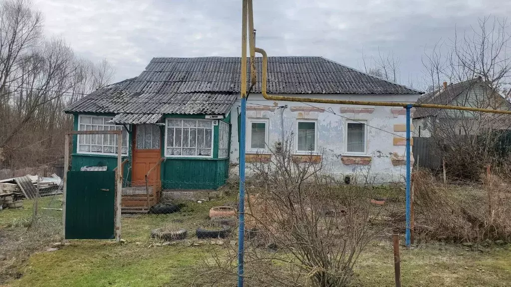 Дом в Рязанская область, Ряжск Ямская ул., 45 (29 м) - Фото 1