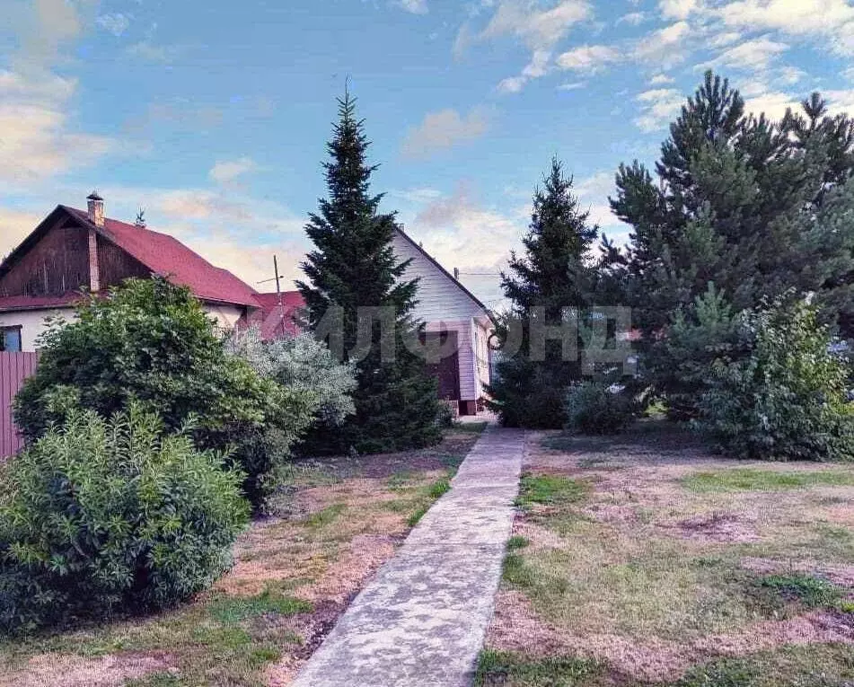 Участок в Новосибирская область, Ордынский район, д. Новый Шарап ... - Фото 1