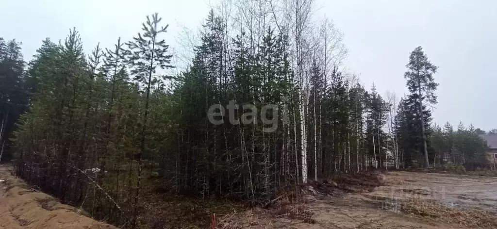Участок в Коми, Сыктывкар городской округ, Верхняя Максаковка пгт 5-я ... - Фото 0