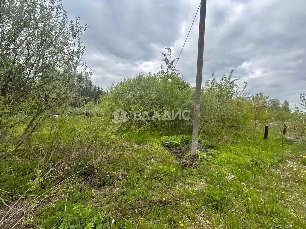 Участок в Московская область, Воскресенск городской округ, Имени ... - Фото 1