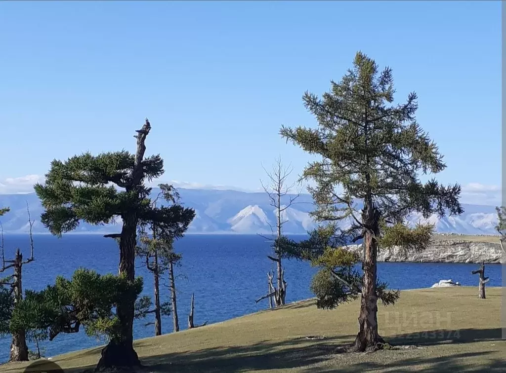 Участок в Иркутская область, Ольхонский район, Хужирское муниципальное ... - Фото 1