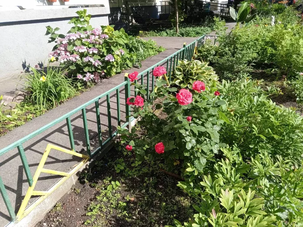 1-к кв. Москва ул. Герасима Курина, 16 (39.0 м) - Фото 2