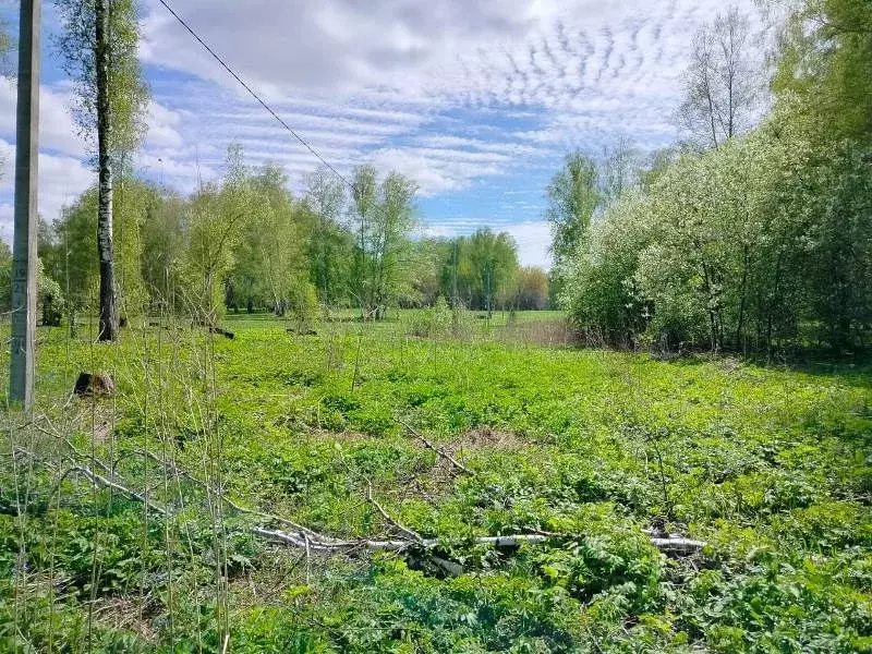 Участок в Новосибирская область, Новосибирский район, Станционный ... - Фото 2