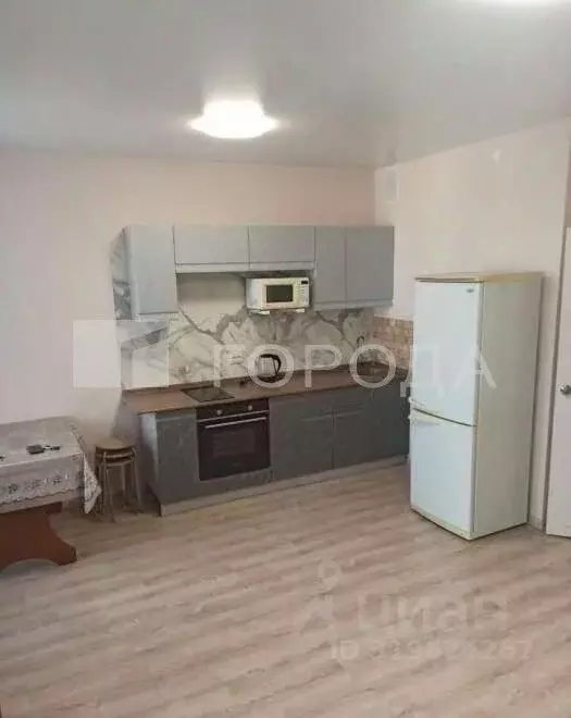 Студия Новосибирская область, Новосибирск ул. Петухова, 162 (31.0 м) - Фото 0