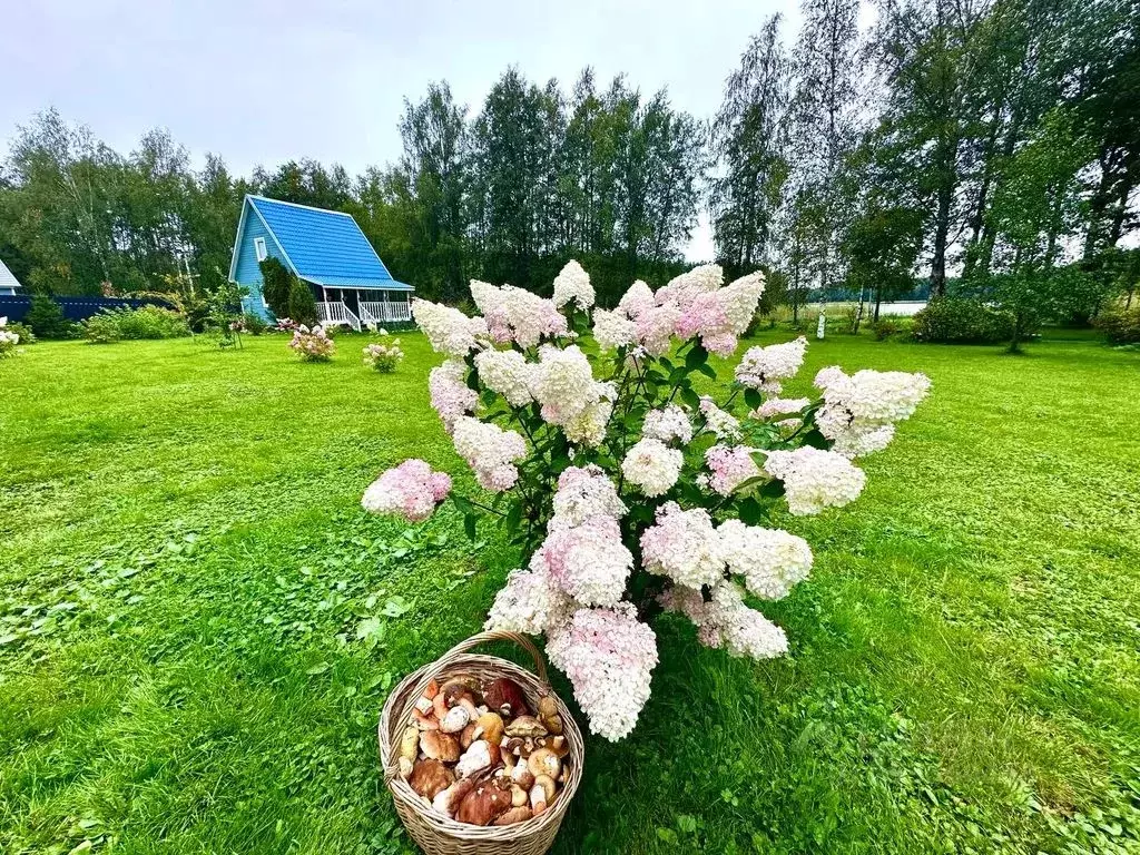 Дом в Ленинградская область, Приозерский район, Мельниковское с/пос ... - Фото 2