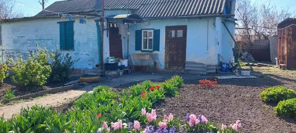 Дом в Ростовская область, Неклиновский район, Поляковское с/пос, ... - Фото 2