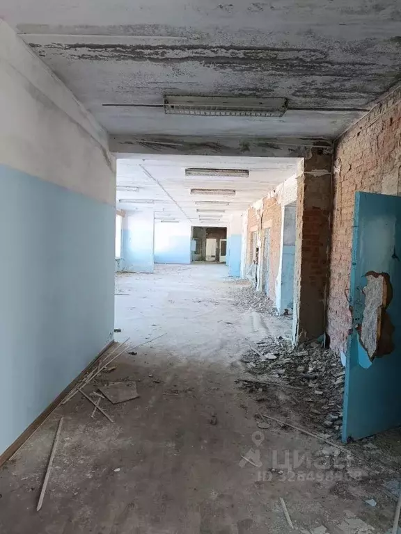 Помещение свободного назначения в Вологодская область, Сокольский ... - Фото 2