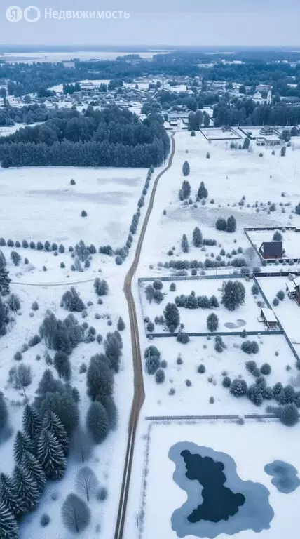 Участок в Ярославский муниципальный округ, село Лютово, Заречная улица ... - Фото 1