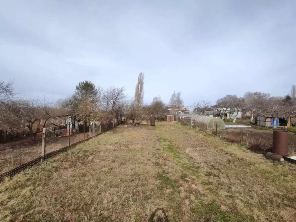 Участок в Калининградская область, Янтарный пгт, Садовник СНТ ул. ... - Фото 1