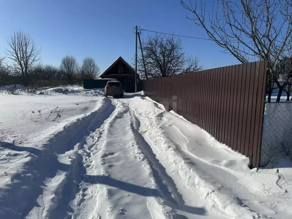 Участок в Брянская область, Брянский район, Новодарковичское с/пос, ... - Фото 2