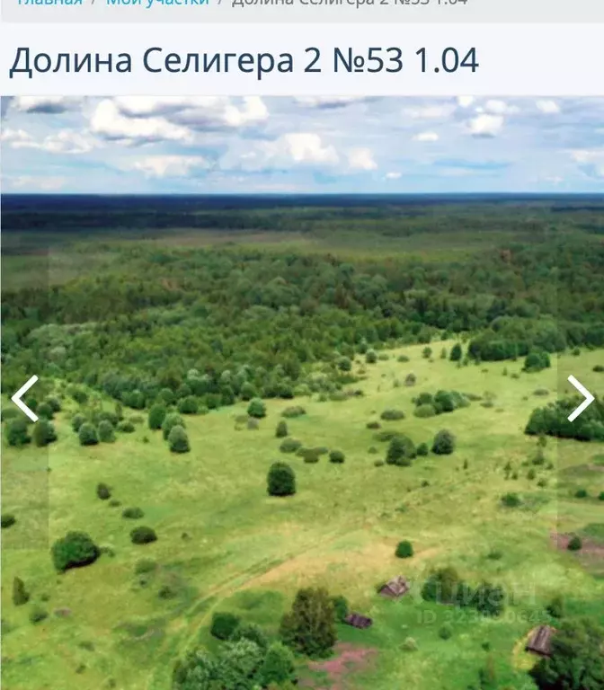 Участок в Тверская область, Ржевский муниципальный округ, д. Холнино  ... - Фото 2