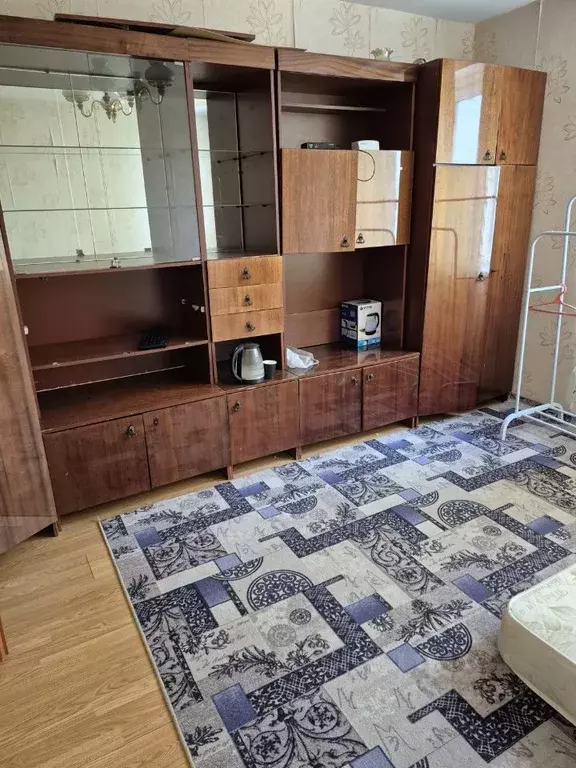 1-к кв. Московская область, Щелково городской округ, д. Медвежьи Озера ... - Фото 2