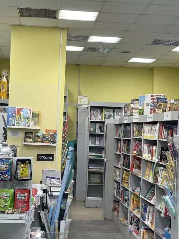 Торговая площадь в Самарская область, Самара Революционная ул., 4 (100 ... - Фото 2