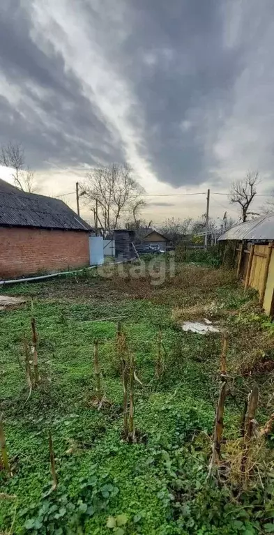 Участок в Адыгея, Майкопский район, пос. Тульский ул. Подгорная (4.58 ... - Фото 0