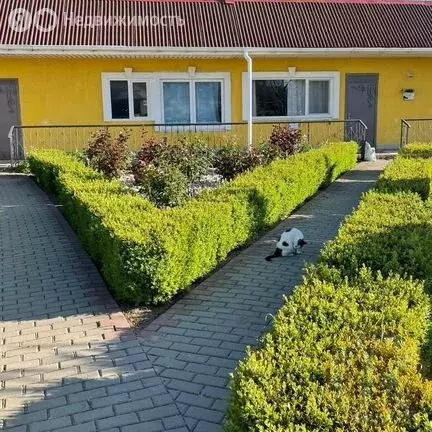 Дом в Уютное, садоводческий потребительский кооператив Прибой, ... - Фото 1