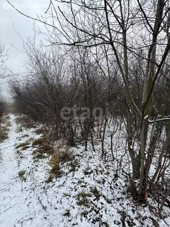 Участок в Альметьевск, улица Тухватуллина (4 м) - Фото 1