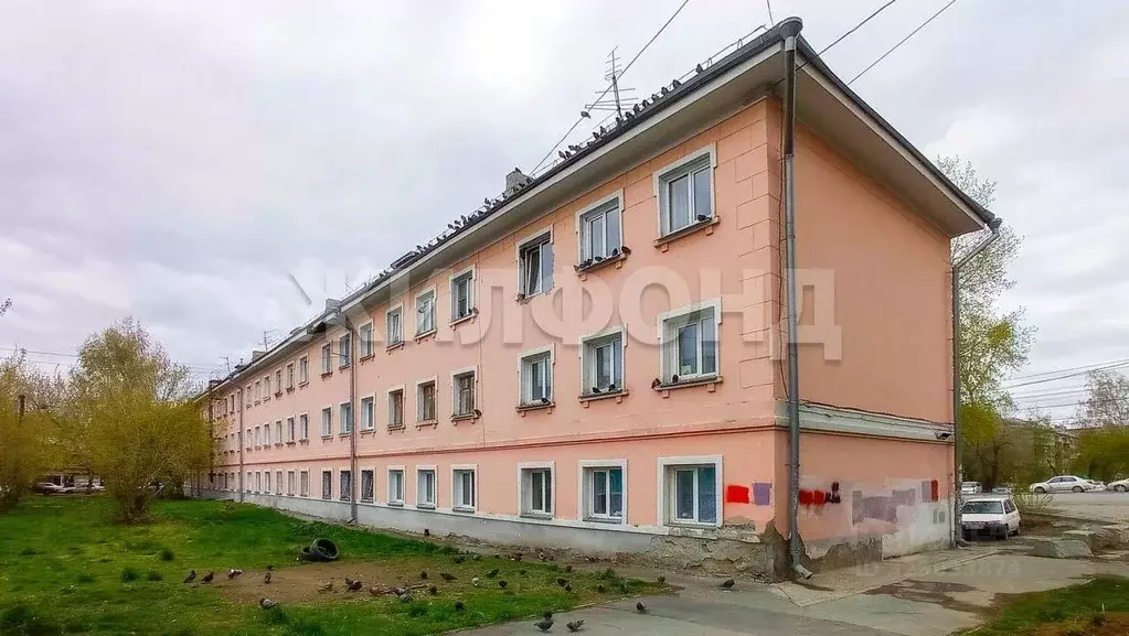 1-к кв. Новосибирская область, Новосибирск Трикотажная ул., 49 (20.0 ... - Фото 2