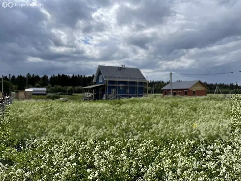 Участок в Ломоносовский район, Кипенское сельское поселение, деревня ... - Фото 1