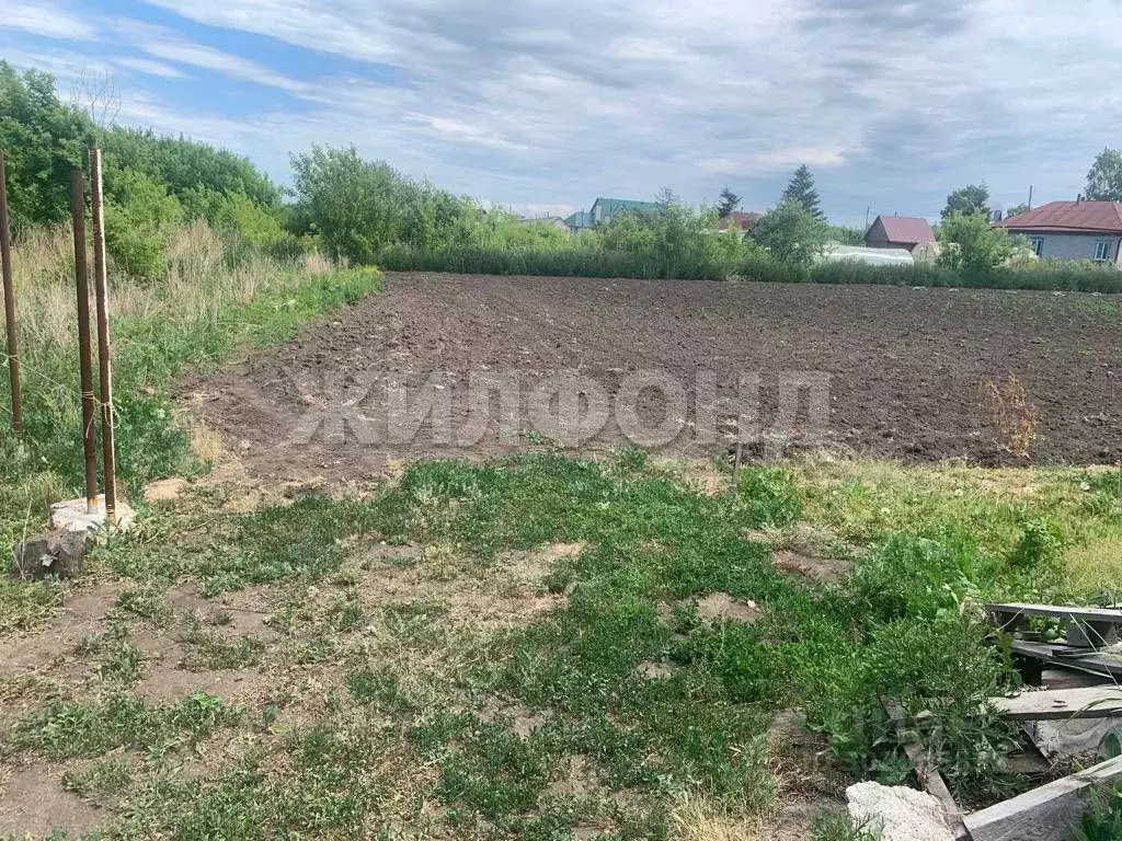 Участок в Алтайский край, Советский район, с. Сосновка ул. Зеленая ... - Фото 0