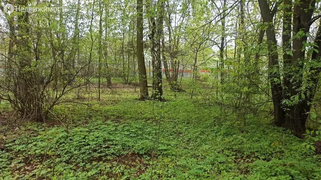 Участок в Балашиха, микрорайон Кучино, улица Молодой Ленинец, 1а (30 . - Фото 0