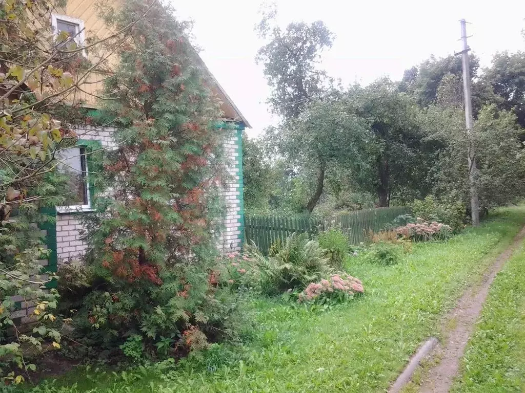 Дом в Псковская область, Красногородский муниципальный округ, д. ... - Фото 2