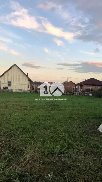 Участок в Новосибирская область, Новосибирский район, Станционный ... - Фото 2