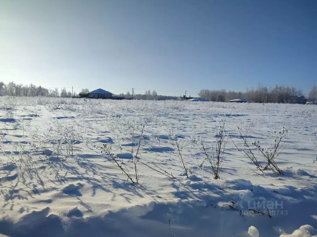 Участок в Московская область, Зарайск Зарайск муниципальный округ, ул. ... - Фото 1