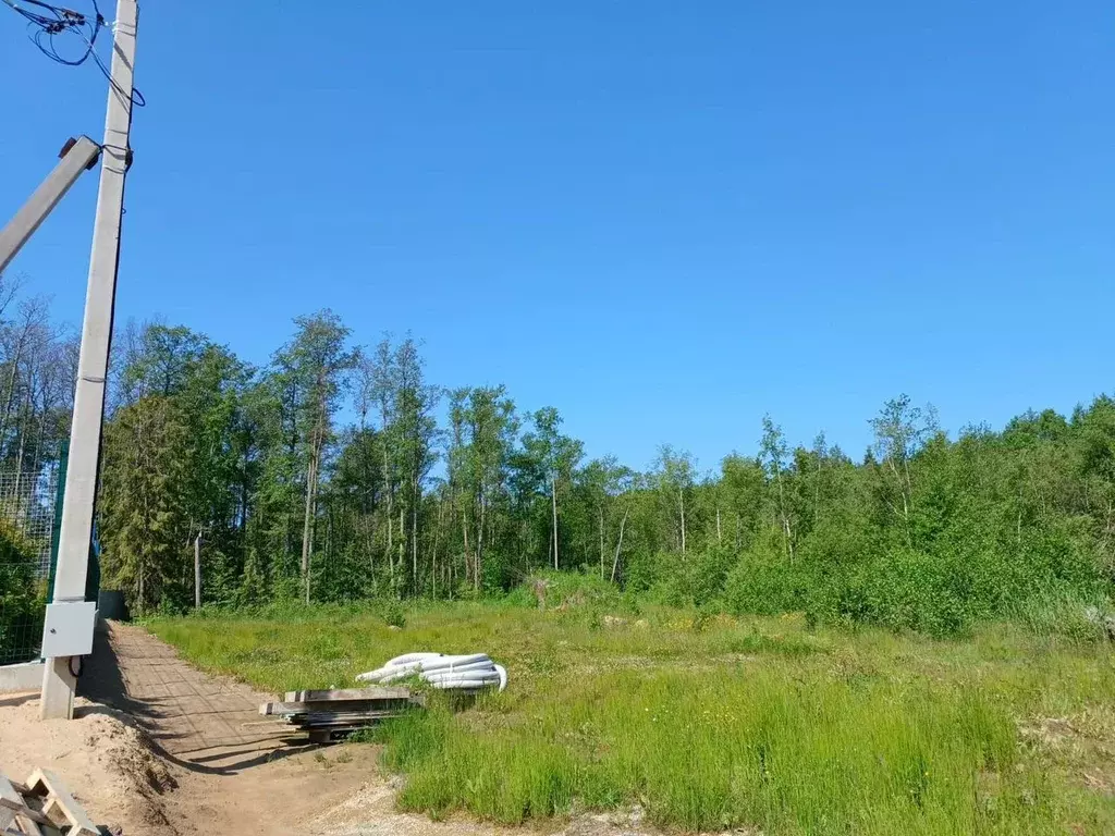 Участок в Ленинградская область, Ломоносовский район, Лебяженское ... - Фото 2