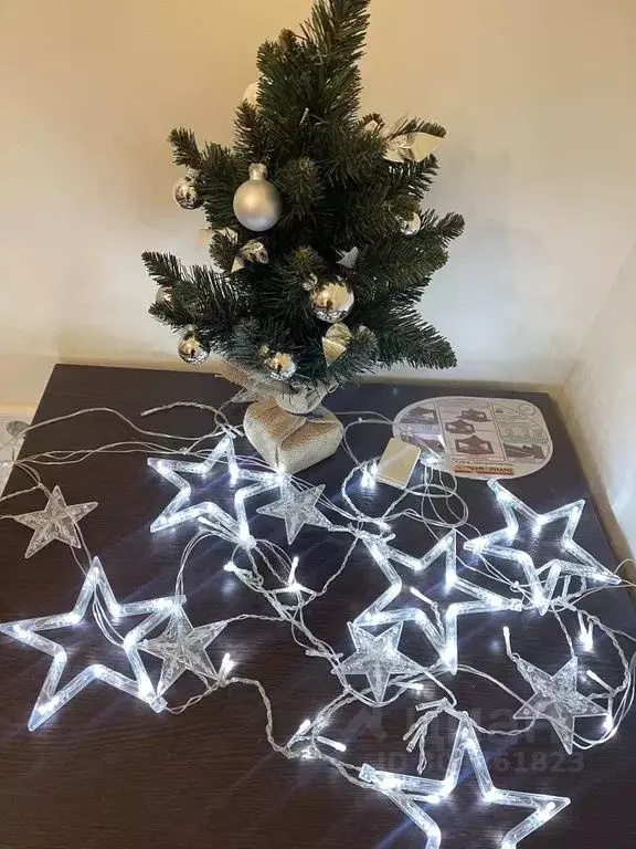 Студия Псковская область, Псковский район, Завеличенская волость, д. ... - Фото 1