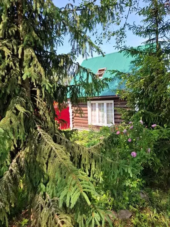 Дом в Тверская область, Осташков пер. Камышовый, 4 (60 м) - Фото 0