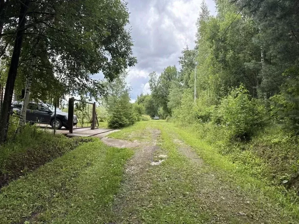 Участок в Московская область, Солнечногорск городской округ, д. ... - Фото 1