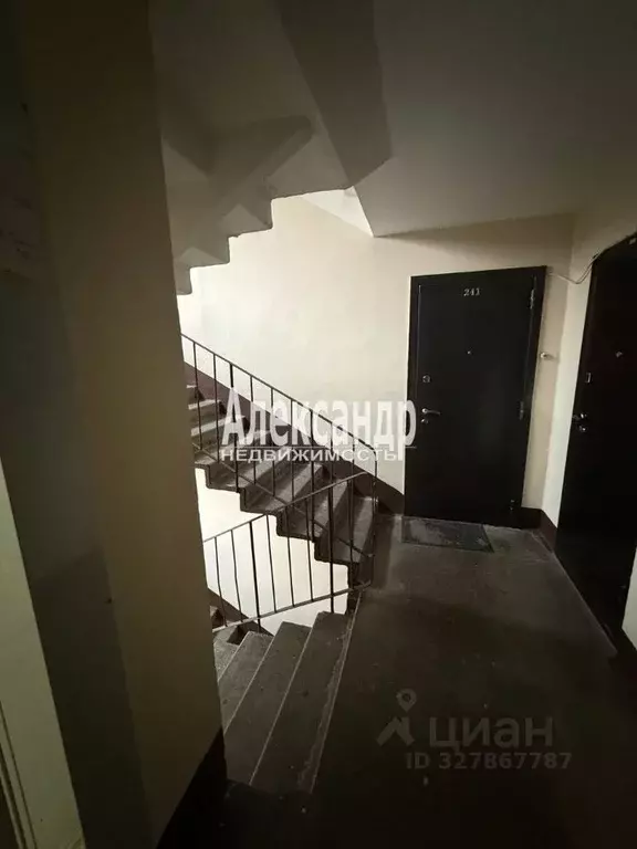 Комната Санкт-Петербург ул. Подвойского, 17к2 (10.2 м) - Фото 1