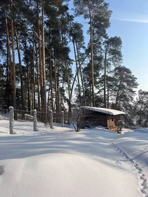 Участок в Томская область, Томск с. Тимирязевское, Октябрьская ул. ... - Фото 1