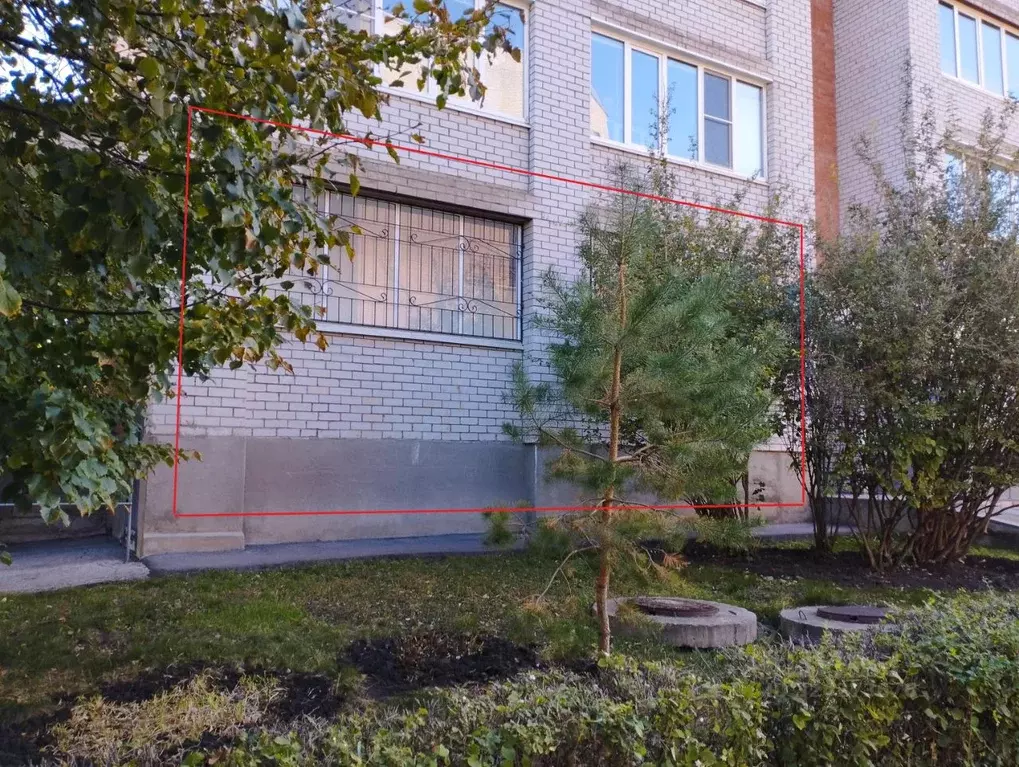 Помещение свободного назначения в Самарская область, Тольятти ул. ... - Фото 1