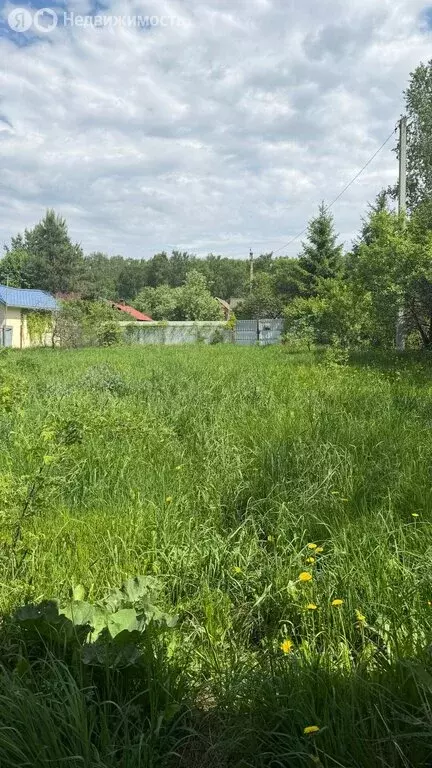 Участок в Московская область, муниципальный округ Чехов, деревня ... - Фото 2
