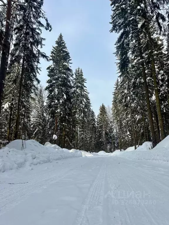Участок в Московская область, Одинцовский городской округ, с. Ершово, ... - Фото 1