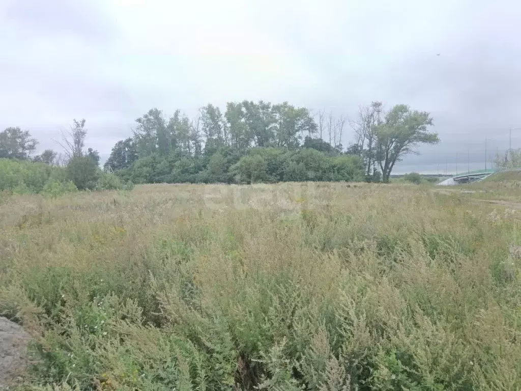 Участок в Тульская область, Воловский район, Турдейское с/пос, д. ... - Фото 1