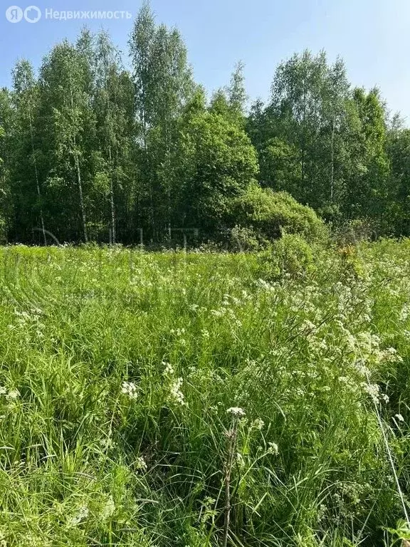 Участок в Выборгский район, Советское городское поселение, садовое ... - Фото 1