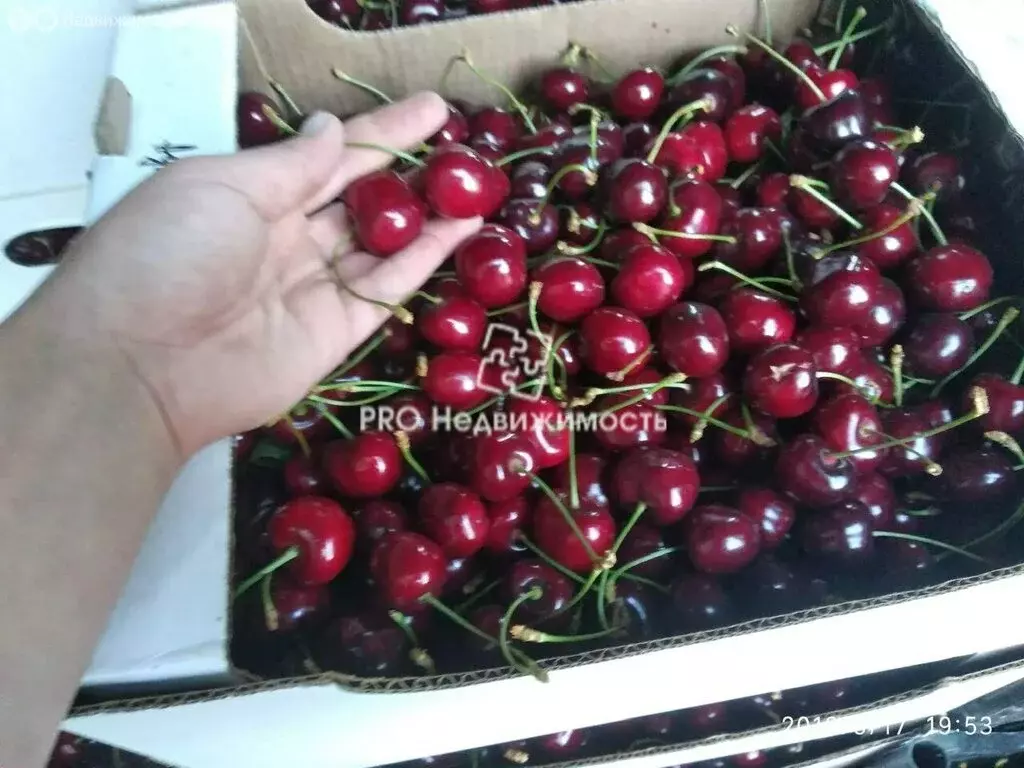 Участок в Бахчисарайский район, Ароматненское сельское поселение, село ... - Фото 1