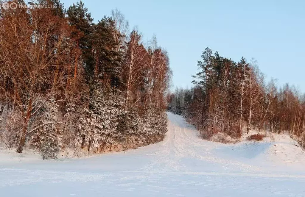 Участок в Тюменская область, Нижнетавдинский муниципальный округ, ... - Фото 2