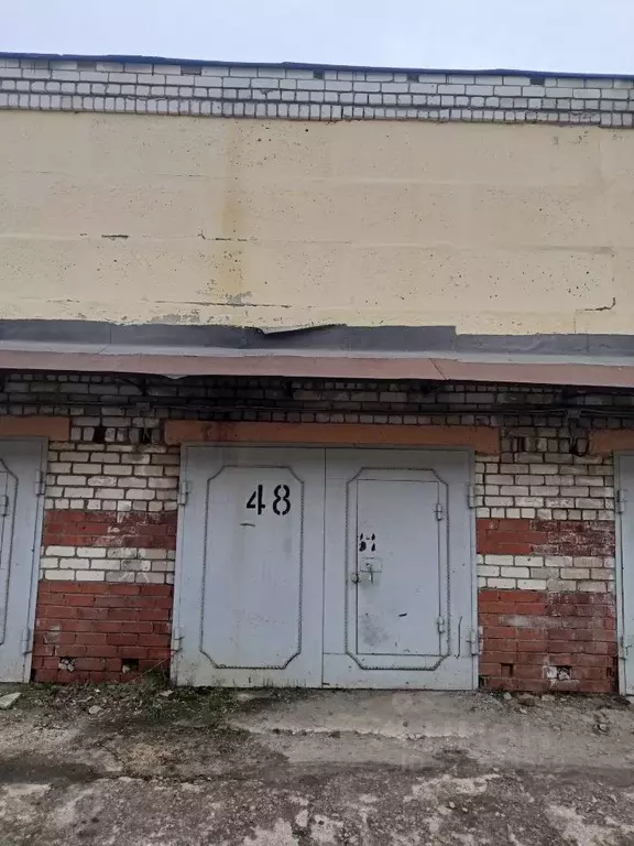 Помещение свободного назначения в Чувашия, Чебоксары ул. Декабристов, ... - Фото 1