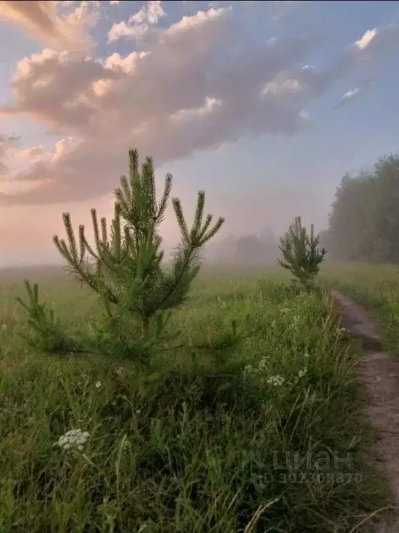 Участок в Тверская область, Рамешковский муниципальный округ, д. ... - Фото 0