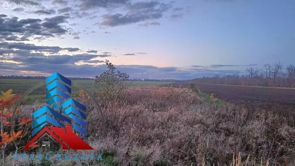 Участок в Неклиновский район, Новобессергеневское сельское поселение, ... - Фото 1