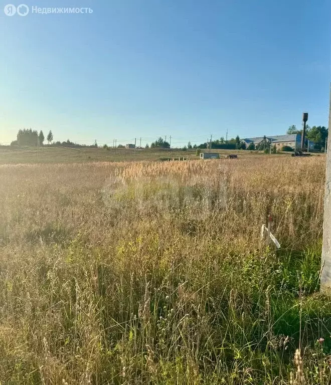 Участок в Ярославский муниципальный округ, деревня Карабиха (10 м) - Фото 2