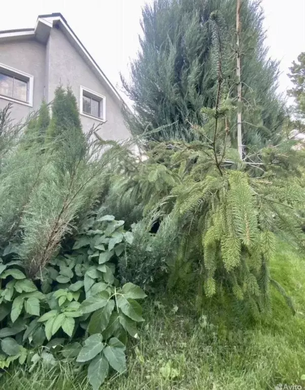Дом в Пензенская область, Мокшан рп ул. Строителей, 21 (254 м) - Фото 1