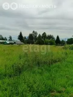 Участок в Ярославская область, Тутаевский муниципальный округ, деревня ... - Фото 1