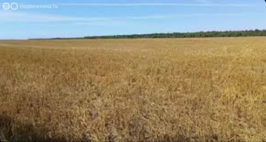 Участок в село Елизаветовка, улица Ленина (640 м) - Фото 1