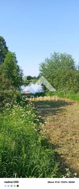Участок в Вологодская область, Белозерский муниципальный округ, с. ... - Фото 2
